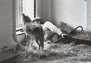 Joseph Beuys, I like America and America likes me