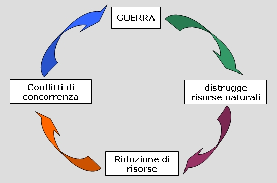 Relazione tra ambiente e guerra