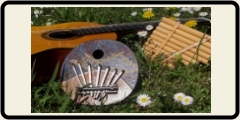 Musica e Sostenibilit