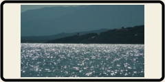 Mare e Sostenibilit