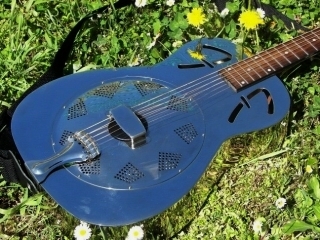Resonator tra fiori ed erba