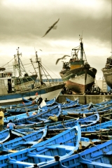 Barche da pesca
