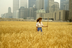 Agnes Denes, Wheatfield  A Confrontation