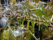 Acqua e Ferro, Immagine di Andrea Caretto