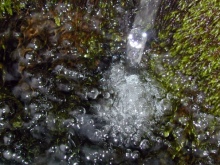 Acqua, Immagine di Andrea Caretto