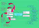 Lo schema-base che riassume la coltivazione intensiva di gamberi, integrato dalle conseguenze che l'allevamento comporta