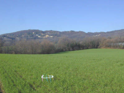 Area collinare